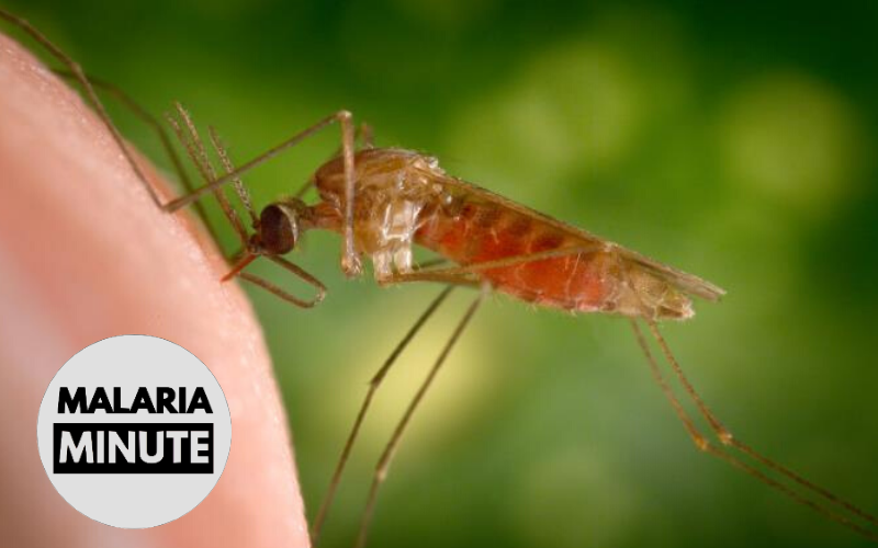 Mosquito Saliva Vaccine Evaluated in Phase 1 Clinical Trial