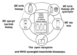 Updated WHO guidance for monitoring resistance in mosquito vectors