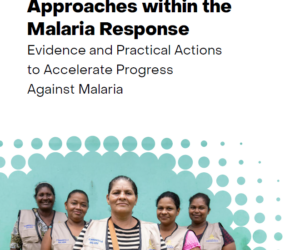 How to Strengthen Gender Approaches within the Malaria Response