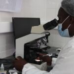 Women at the forefront of malaria research